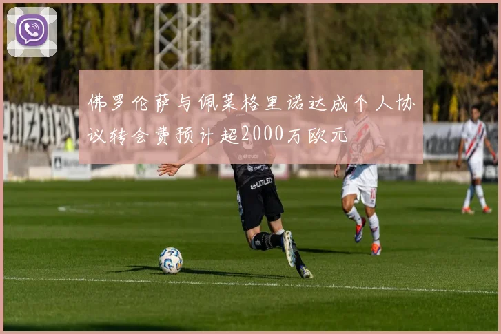 佛罗伦萨与佩莱格里诺达成个人协议转会费预计超2000万欧元