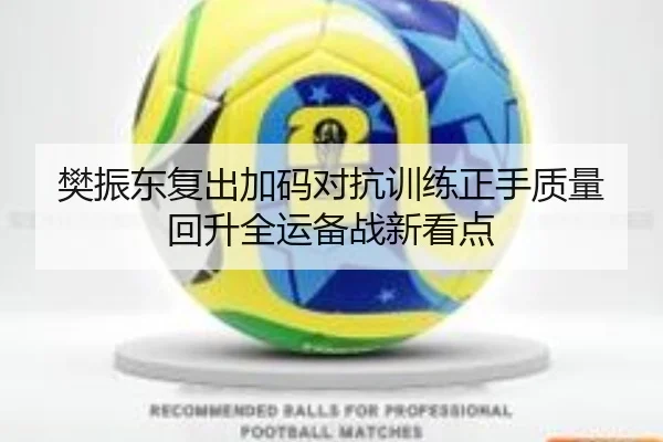 樊振东复出加码对抗训练正手质量回升全运备战新看点